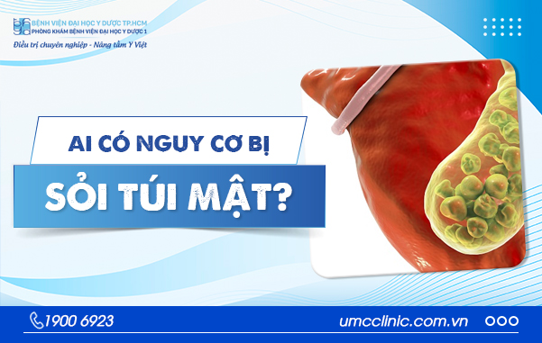 AI CÓ NGUY CƠ MẮC SỎI TÚI MẬT