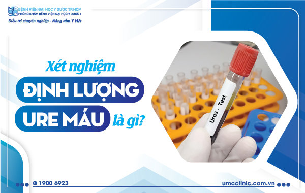 Định Lượng Ure Máu Cao: Hiểu Rõ Tầm Quan Trọng Và Ảnh Hưởng Sức Khỏe