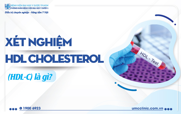 Xét nghiệm HDL Cholesterol là gì? - Tầm quan trọng và Cách đọc kết quả