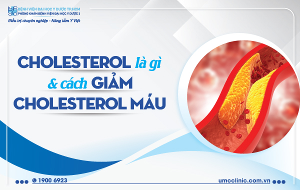 Cholesterol: Khái niệm và vai trò trong cơ thể