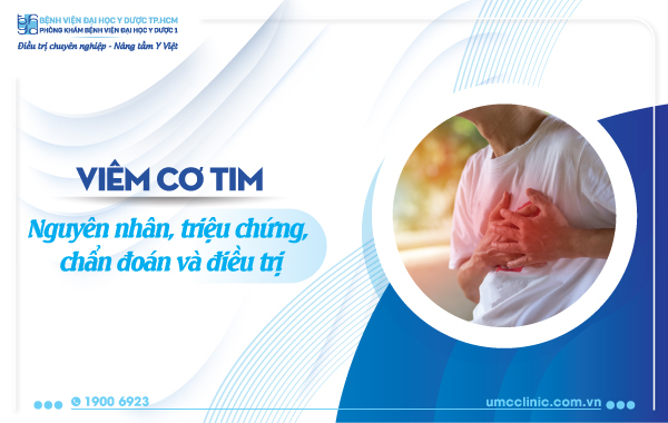 Phân Tích Chuyên Sâu và Xu Hướng Mới